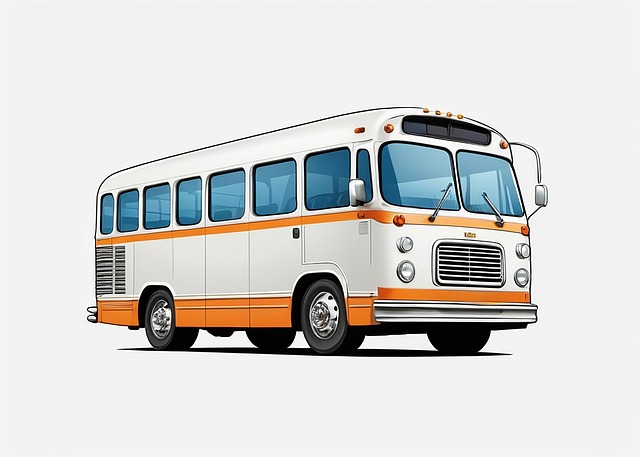 Hoe kies je de beste transportoptie?